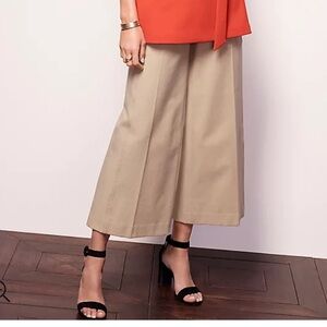 Ann Taylor Suede Block Heel Sandals